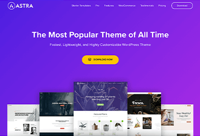 astra-pricing-theme-screenshot-2 Astra Pricing Theme